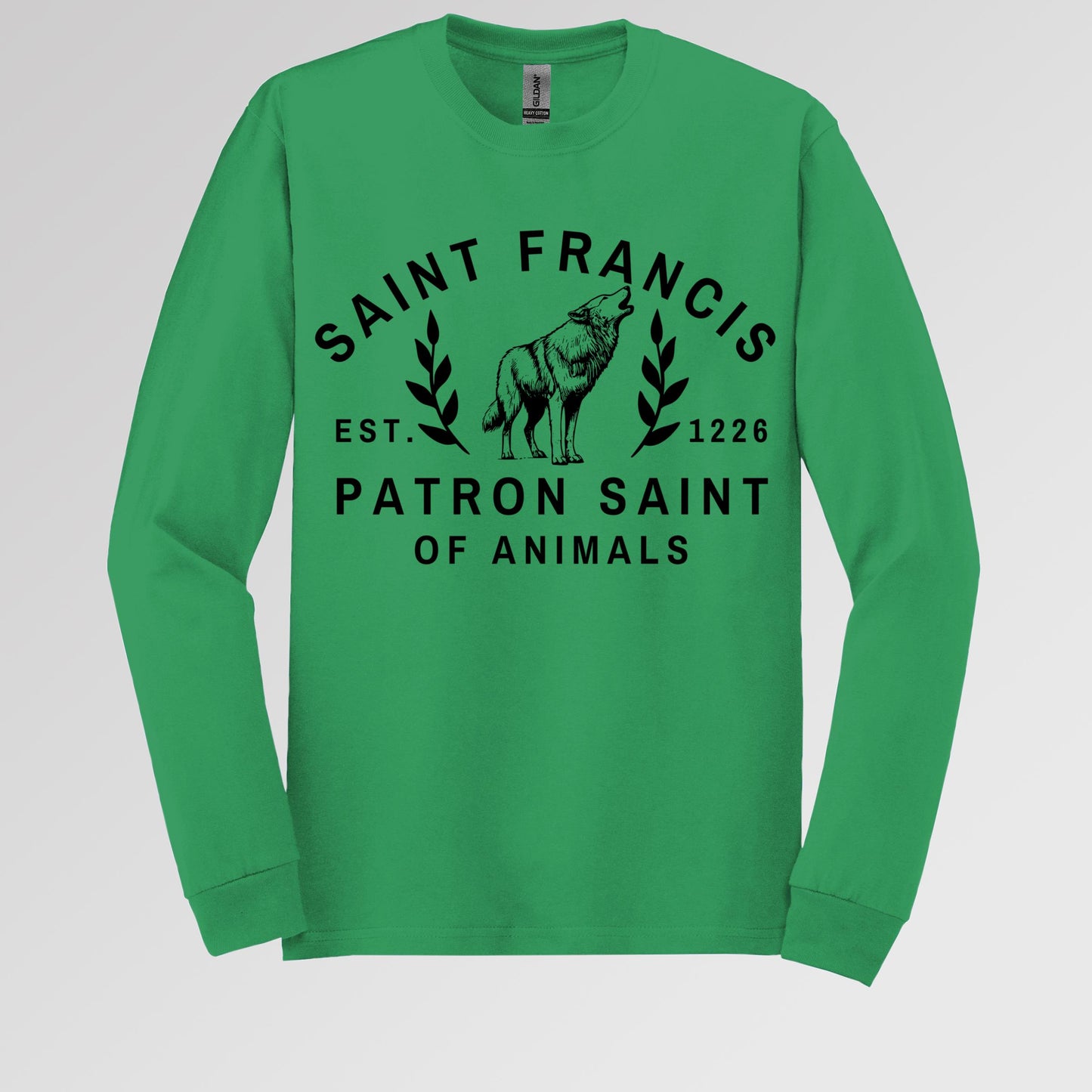 Saint Francis Patron Saint Of Animals 01