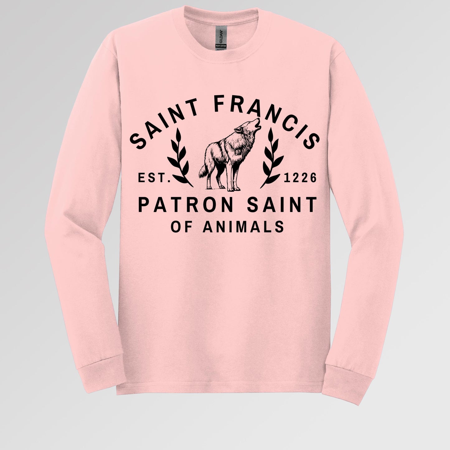 Saint Francis Patron Saint Of Animals 01
