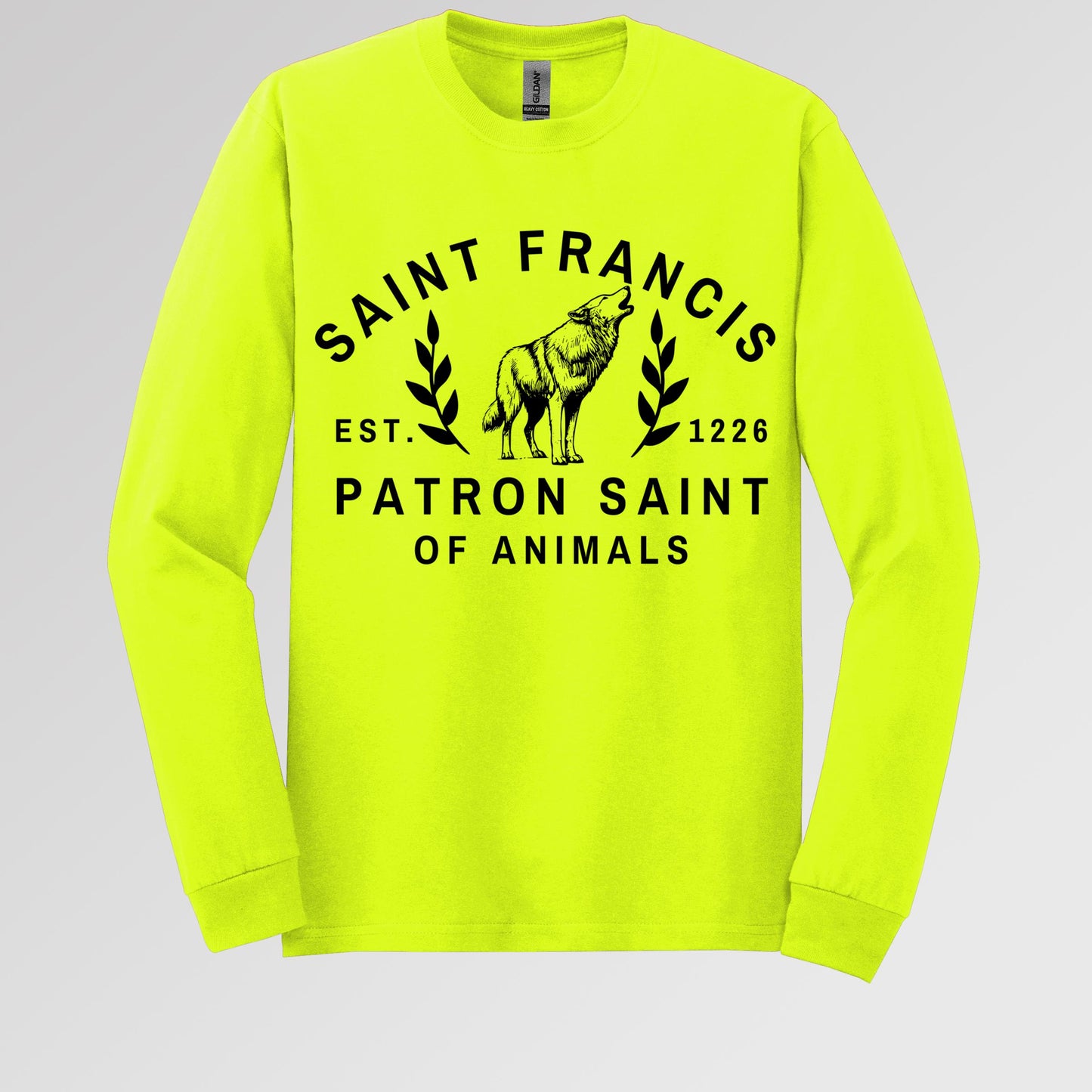 Saint Francis Patron Saint Of Animals 01