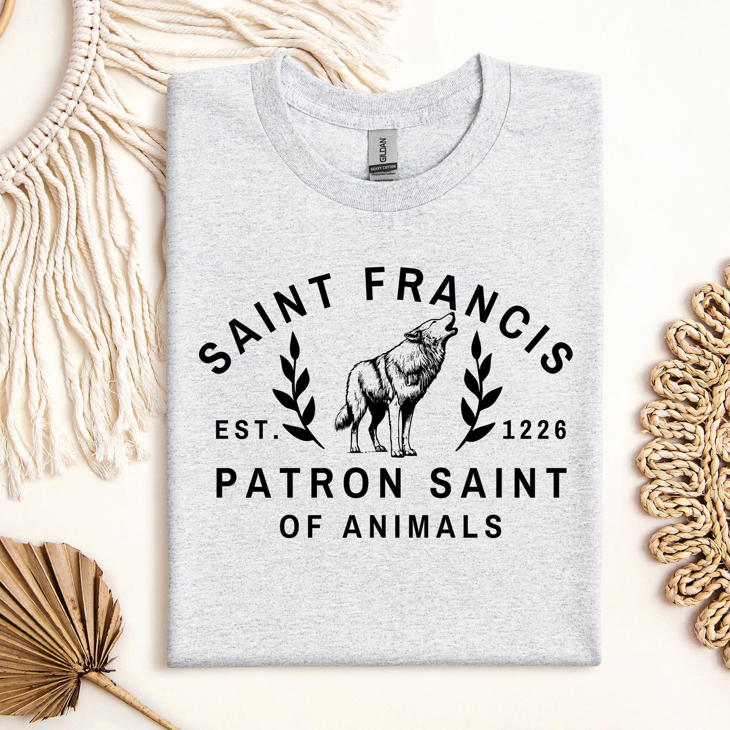 Saint Francis Patron Saint Of Animals 01