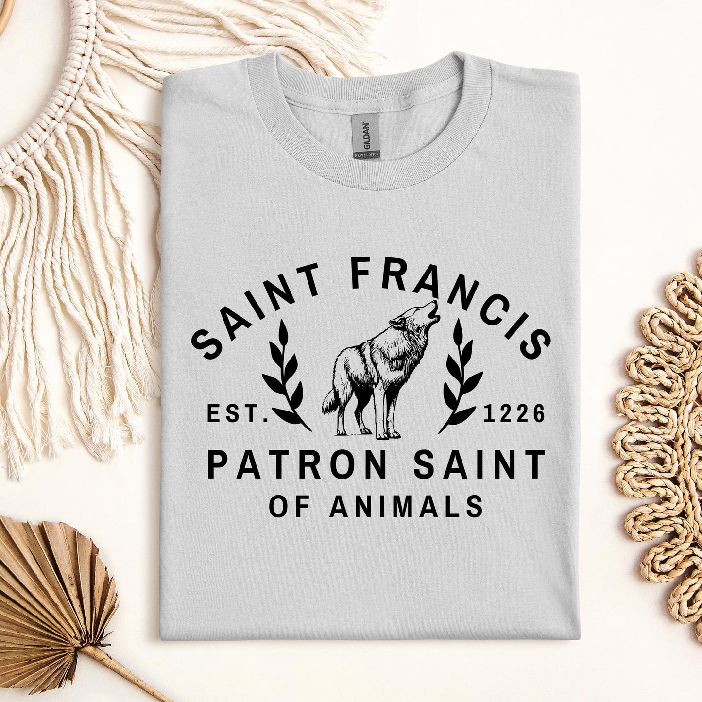 Saint Francis Patron Saint Of Animals 01