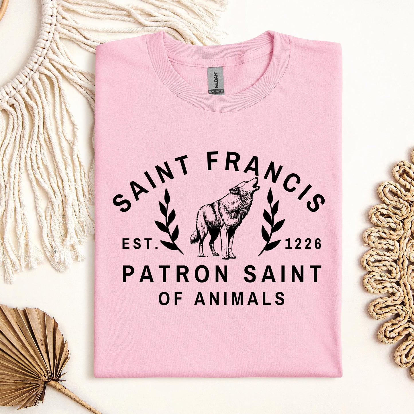 Saint Francis Patron Saint Of Animals 01