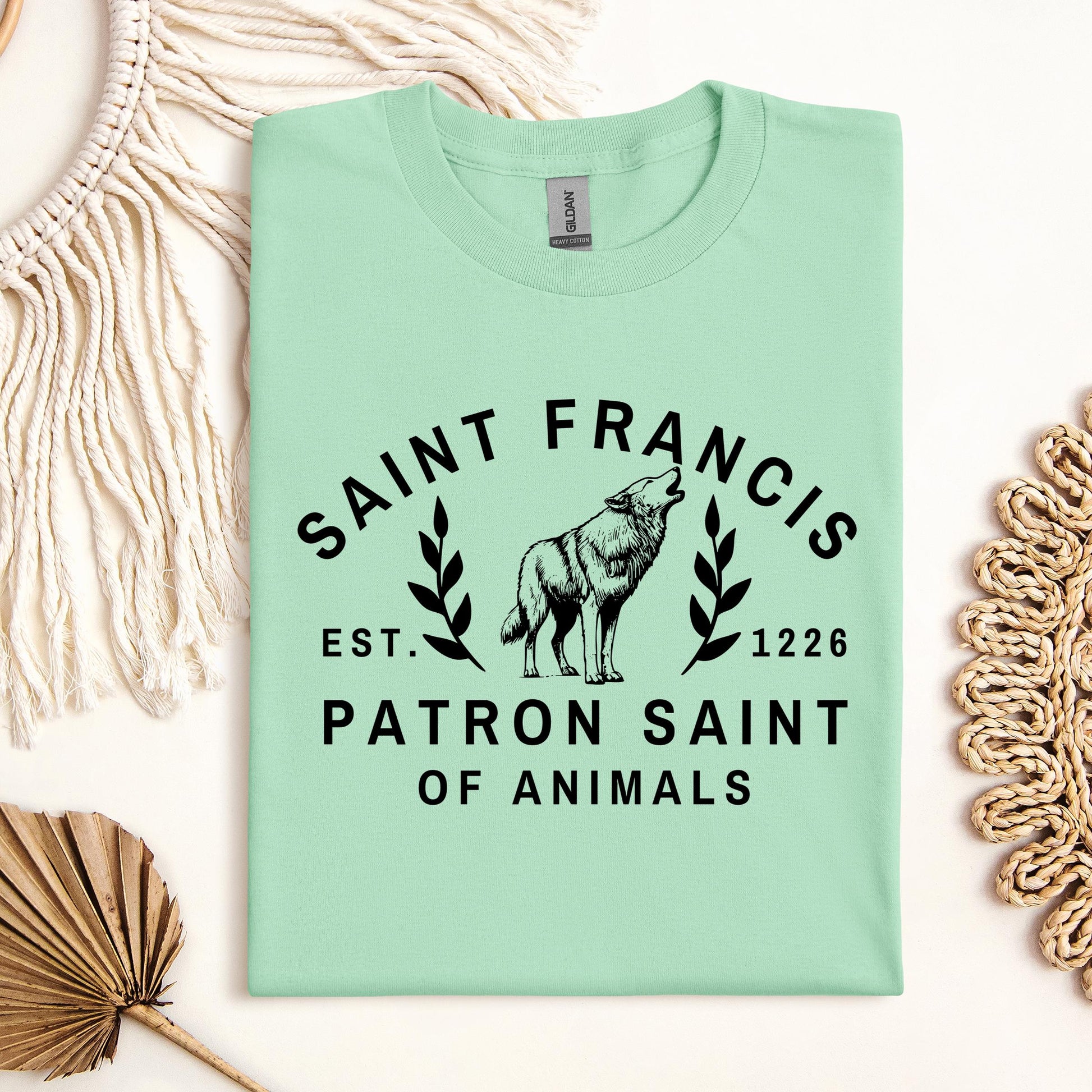 Saint Francis Patron Saint Of Animals 01
