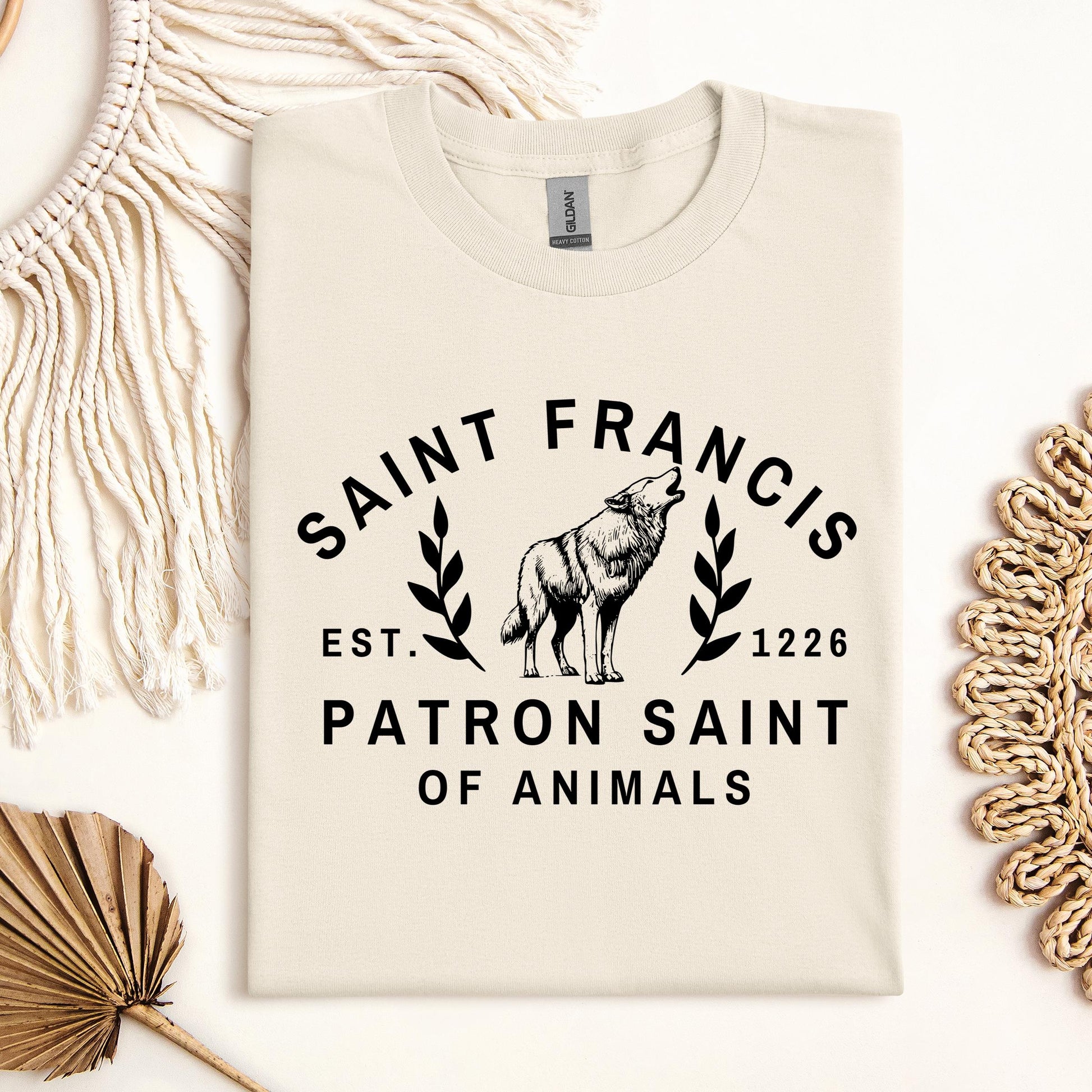Saint Francis Patron Saint Of Animals 01