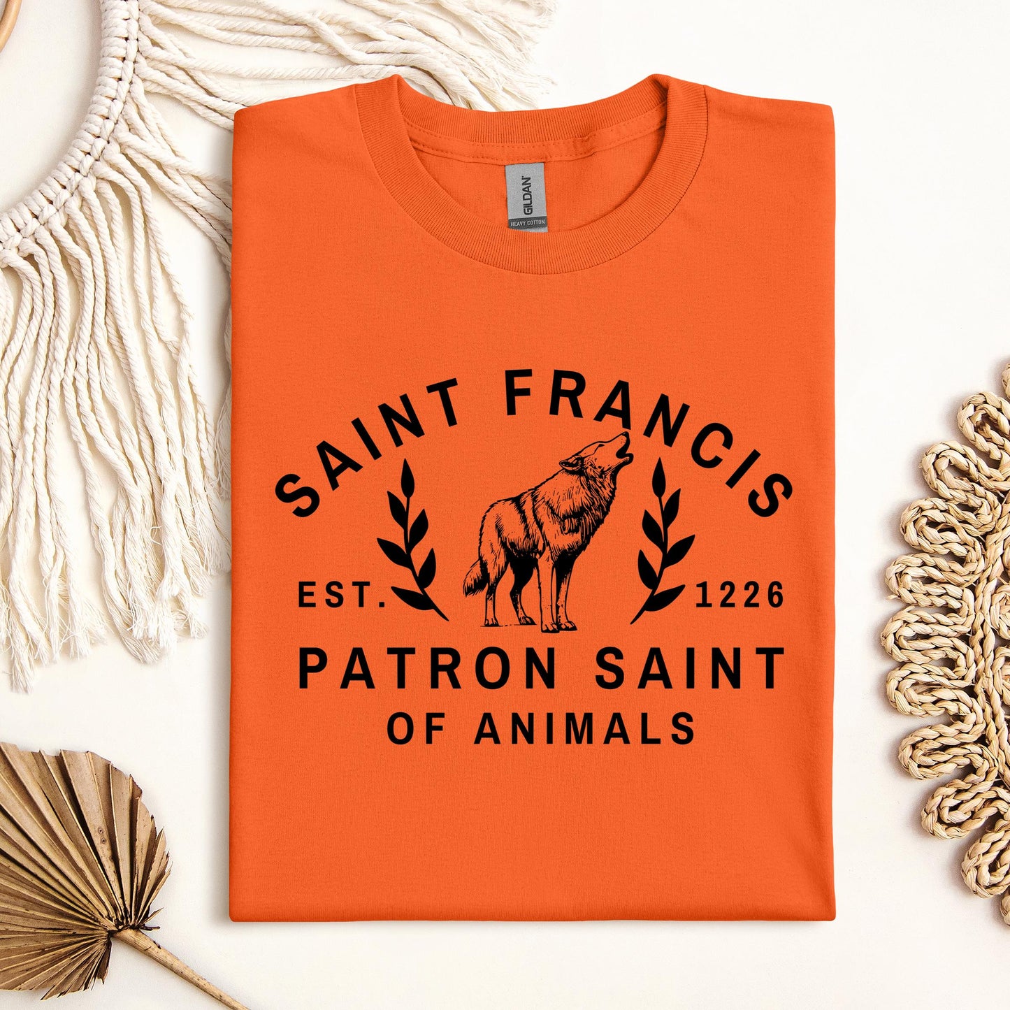 Saint Francis Patron Saint Of Animals 01
