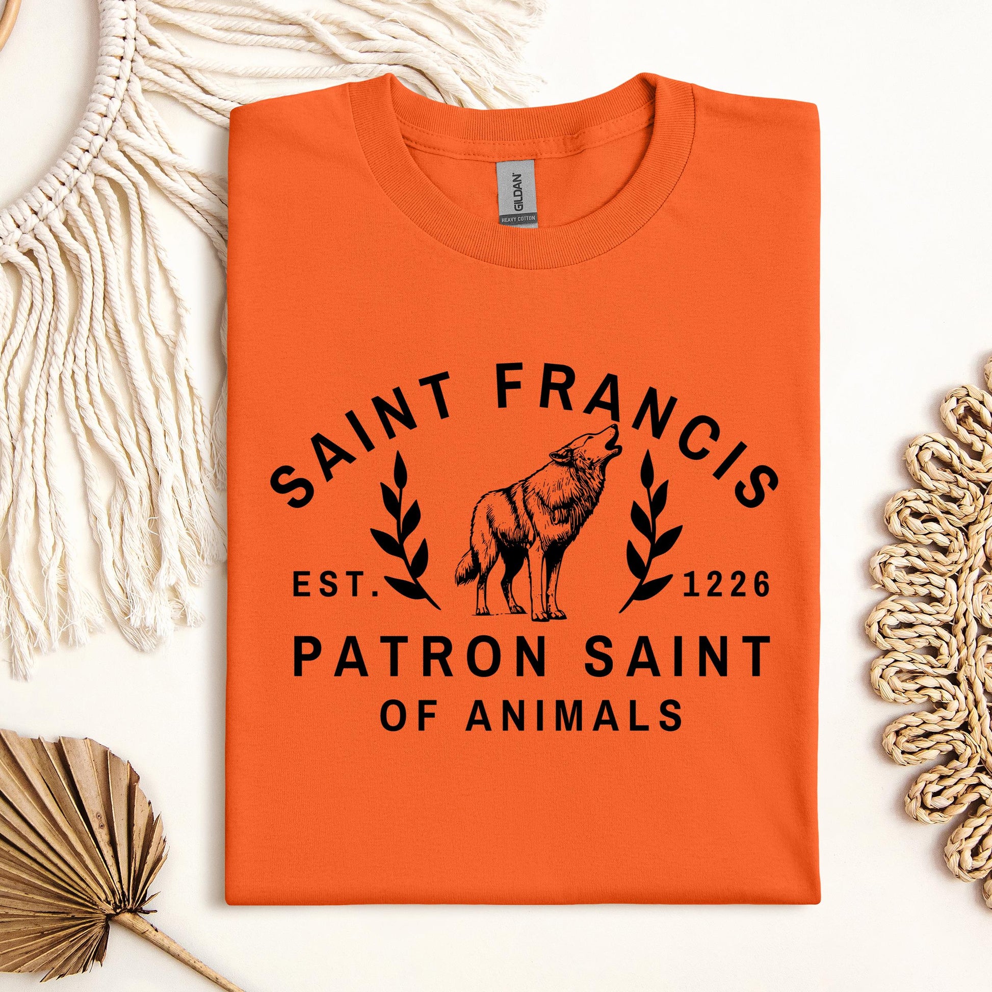 Saint Francis Patron Saint Of Animals 01