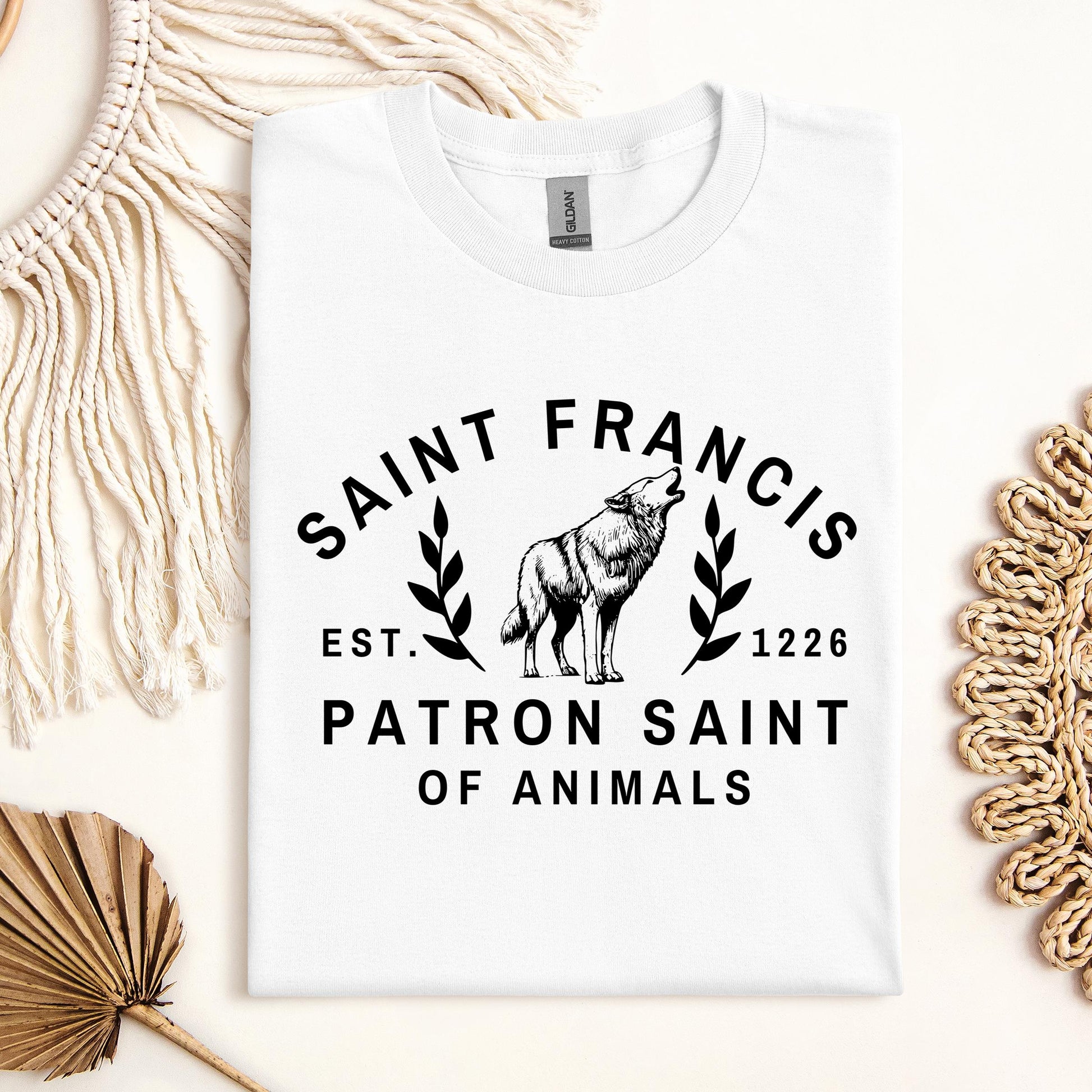 Saint Francis Patron Saint Of Animals 01