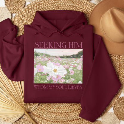 Seeking Him Whom My Soul Loves