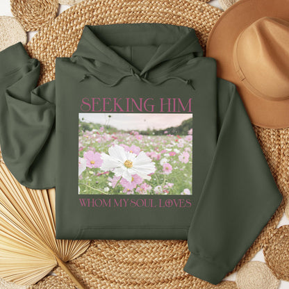 Seeking Him Whom My Soul Loves