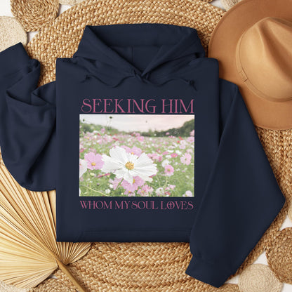 Seeking Him Whom My Soul Loves