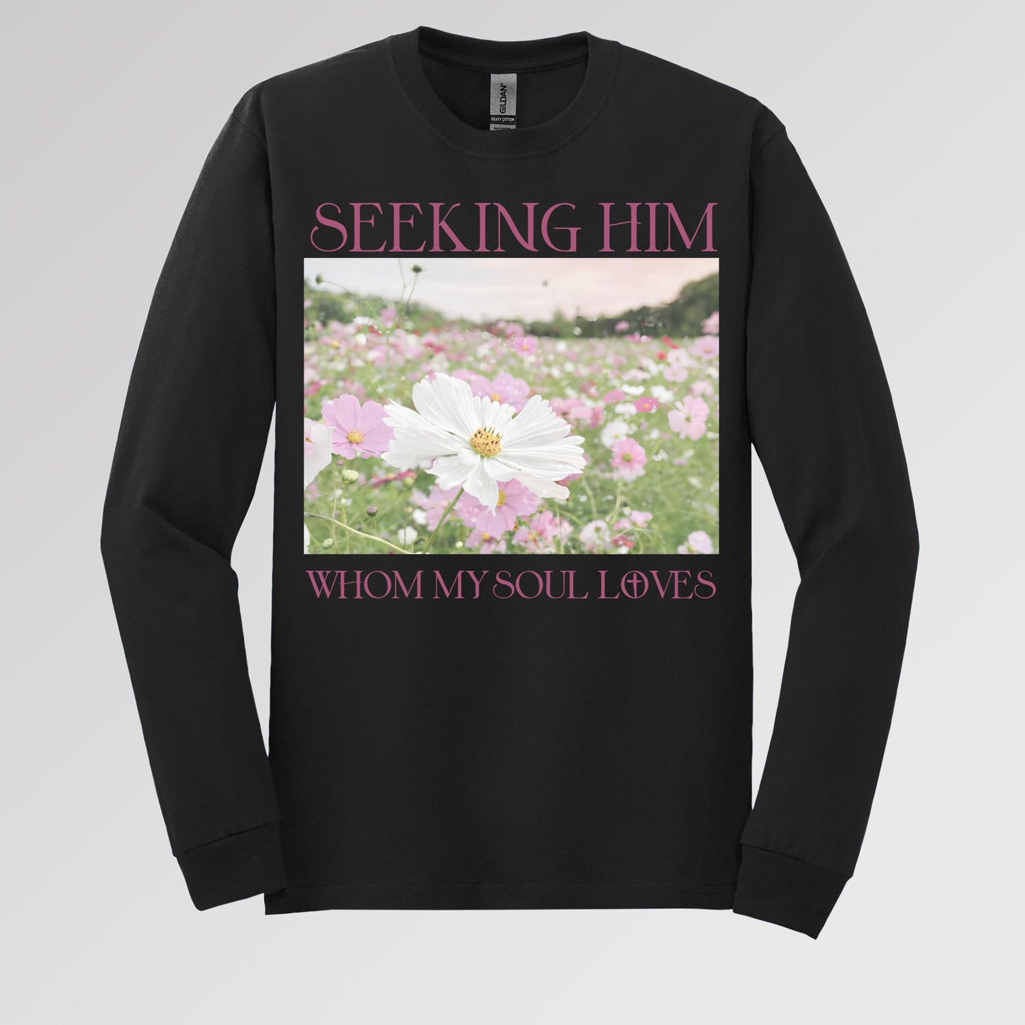 Seeking Him Whom My Soul Loves
