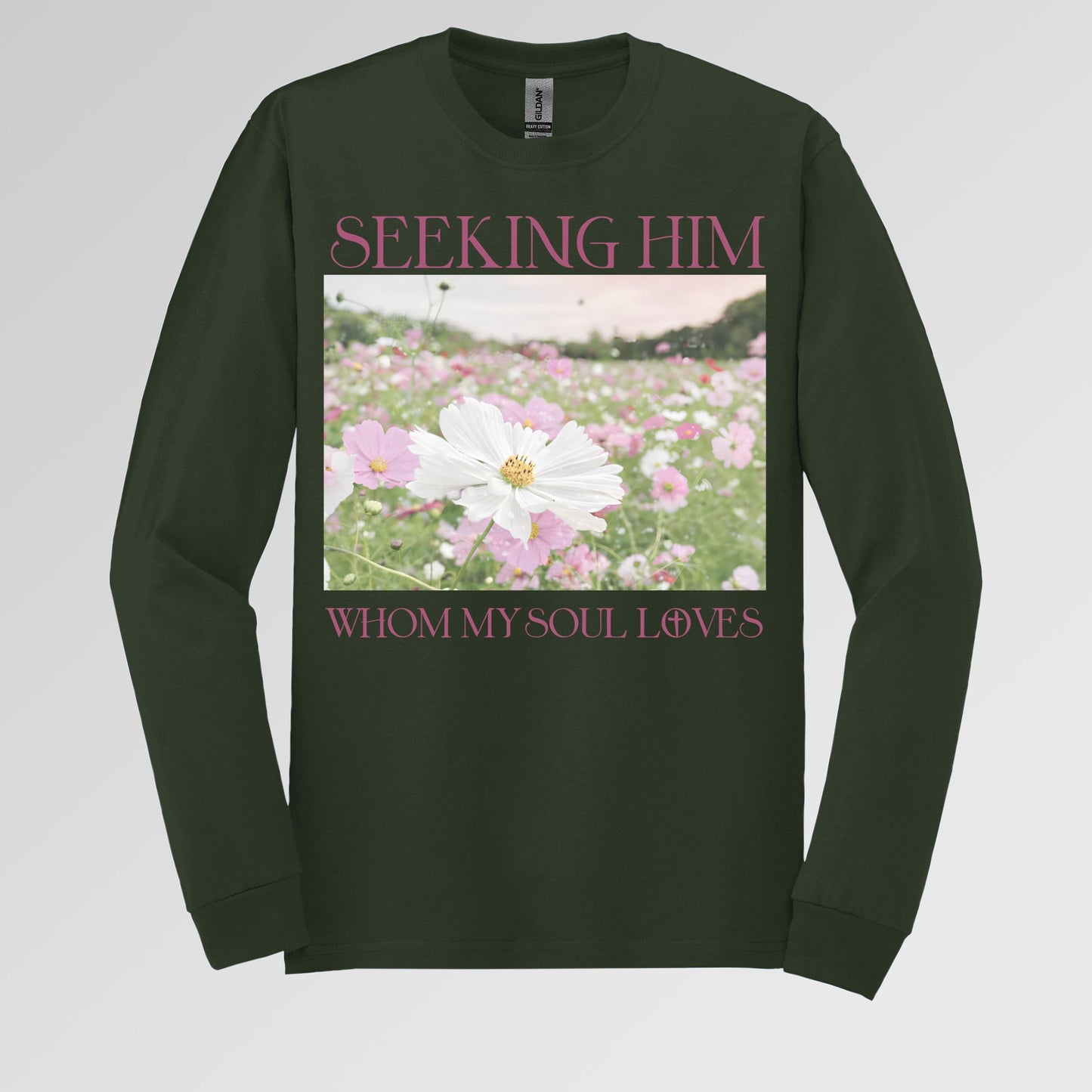 Seeking Him Whom My Soul Loves