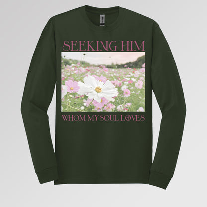 Seeking Him Whom My Soul Loves