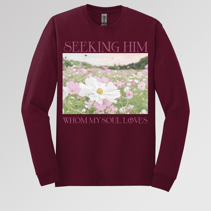 Seeking Him Whom My Soul Loves