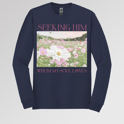 Seeking Him Whom My Soul Loves