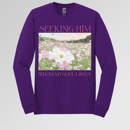 Seeking Him Whom My Soul Loves
