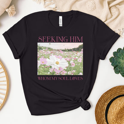 Seeking Him Whom My Soul Loves