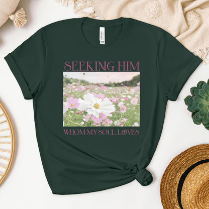 Seeking Him Whom My Soul Loves