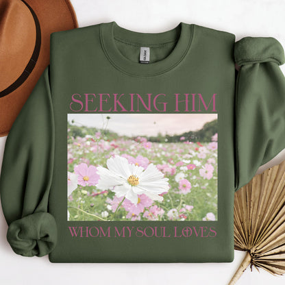 Seeking Him Whom My Soul Loves
