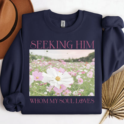 Seeking Him Whom My Soul Loves
