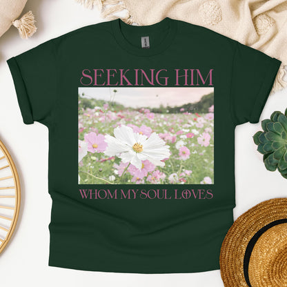 Seeking Him Whom My Soul Loves
