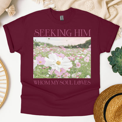 Seeking Him Whom My Soul Loves