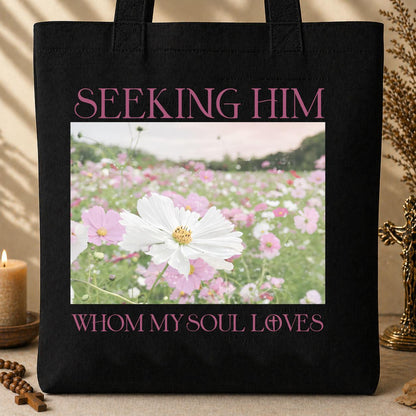 Seeking Him Whom My Soul Loves