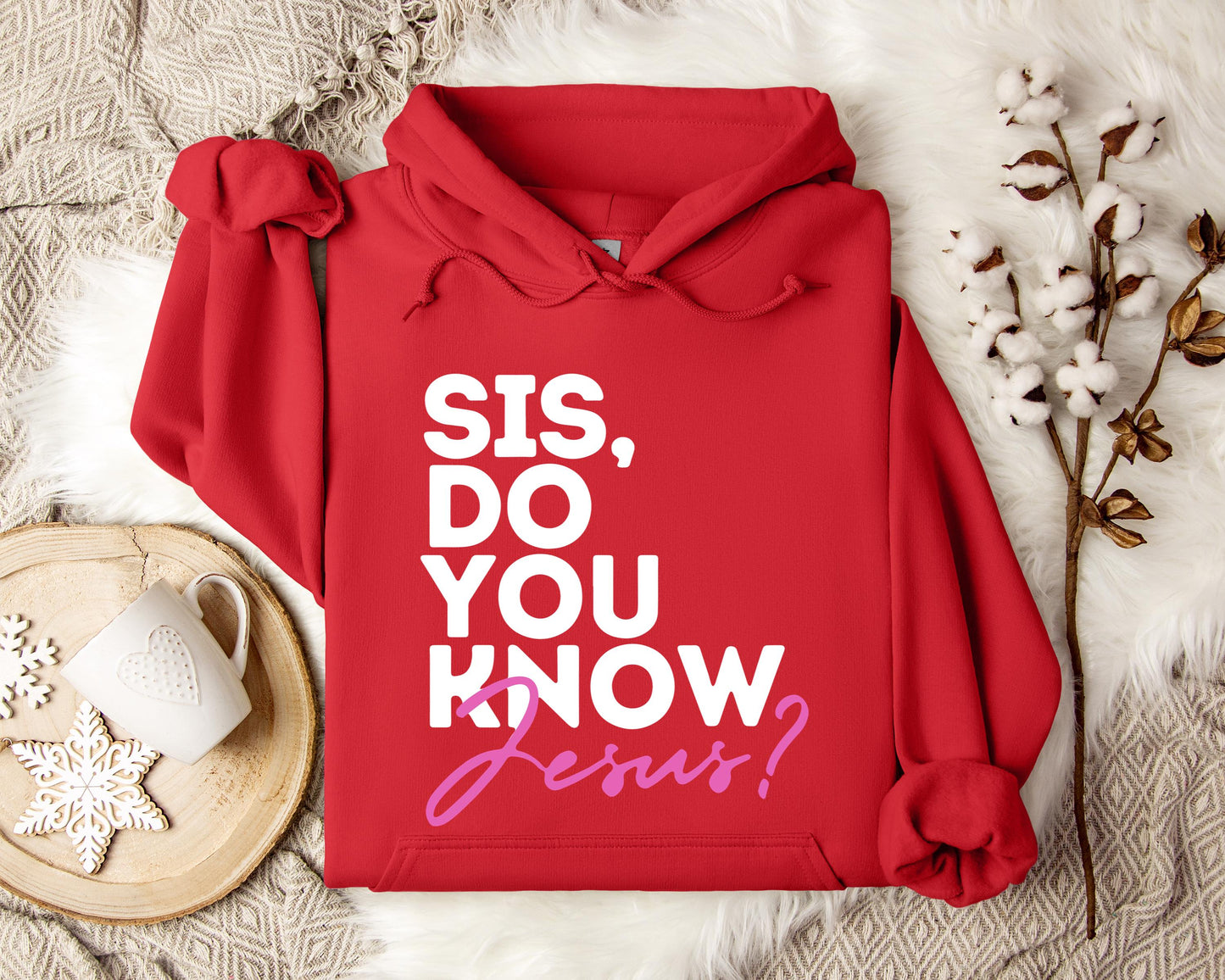 Sis Do You Know Jesus Hoodie