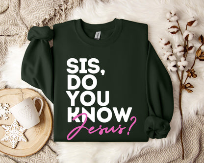 Sis Do You Know Jesus Sweatshirt