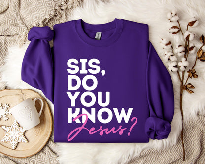 Sis Do You Know Jesus Sweatshirt