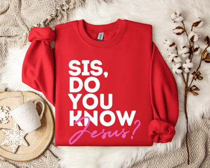 Sis Do You Know Jesus Sweatshirt