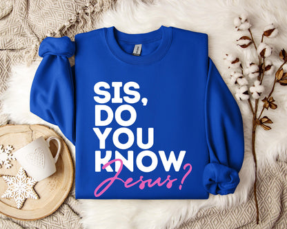 Sis Do You Know Jesus Sweatshirt