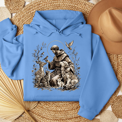 St Francis Of Assisi Patron Saint of Animals