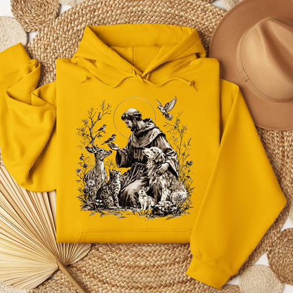 St Francis Of Assisi Patron Saint of Animals