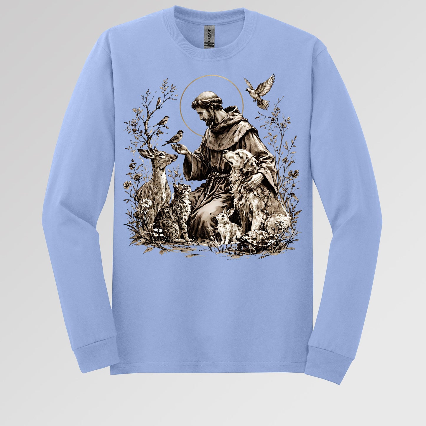 St Francis Of Assisi Patron Saint of Animals