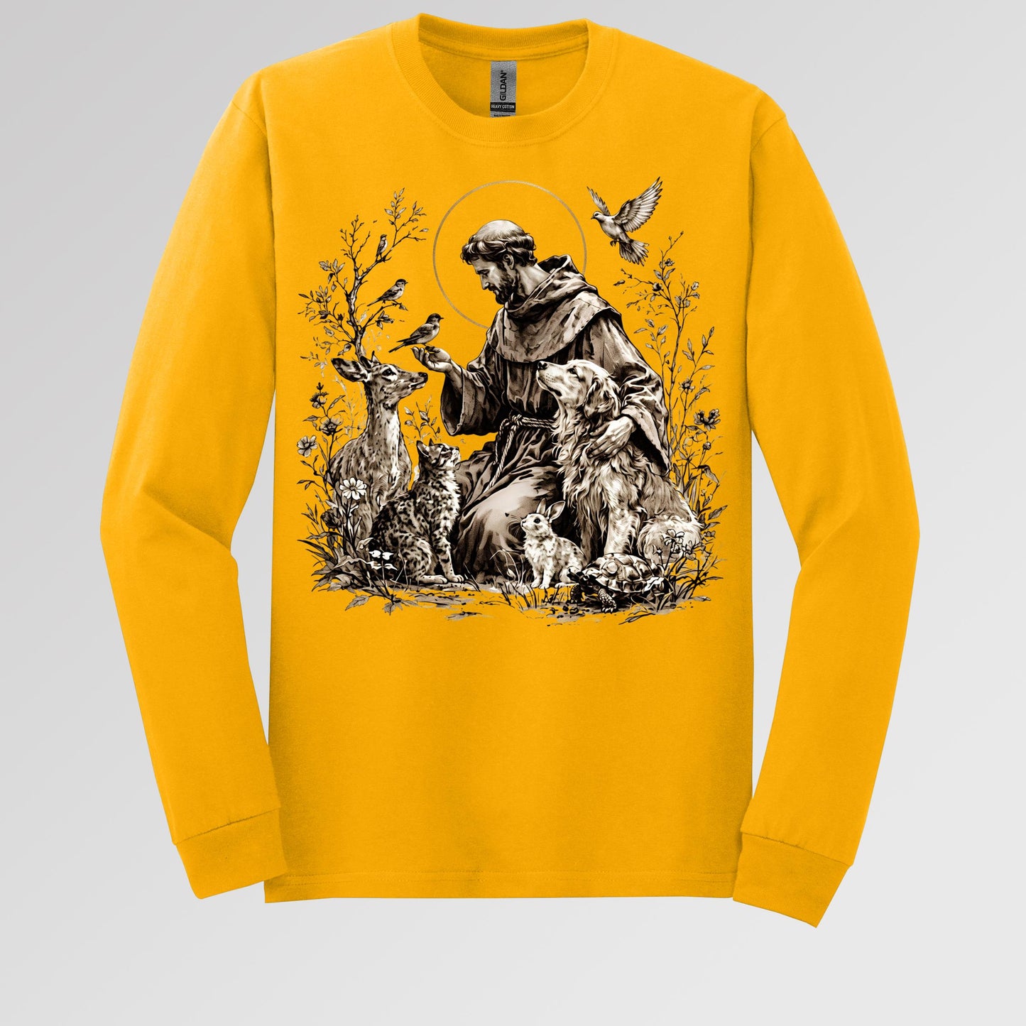 St Francis Of Assisi Patron Saint of Animals