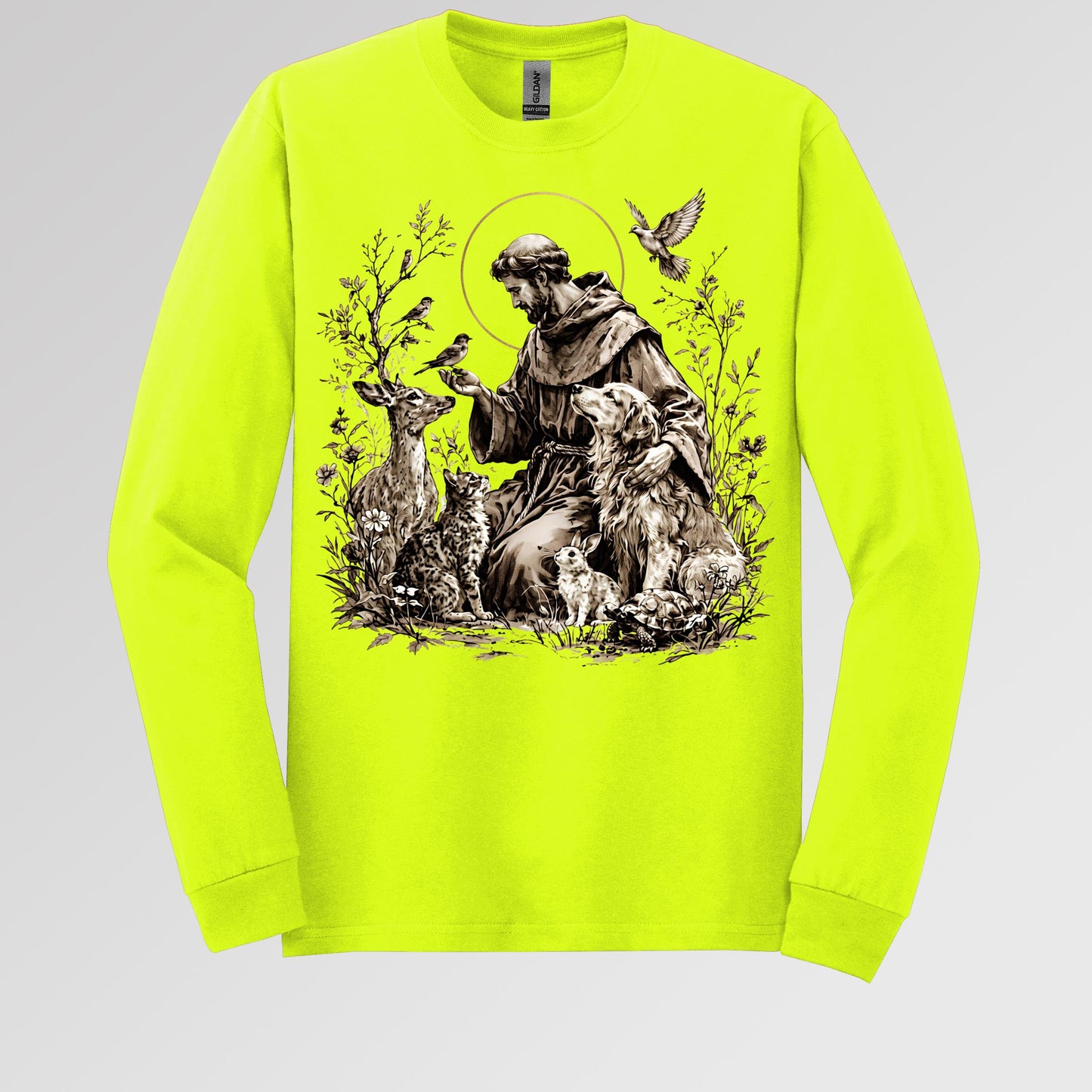 St Francis Of Assisi Patron Saint of Animals