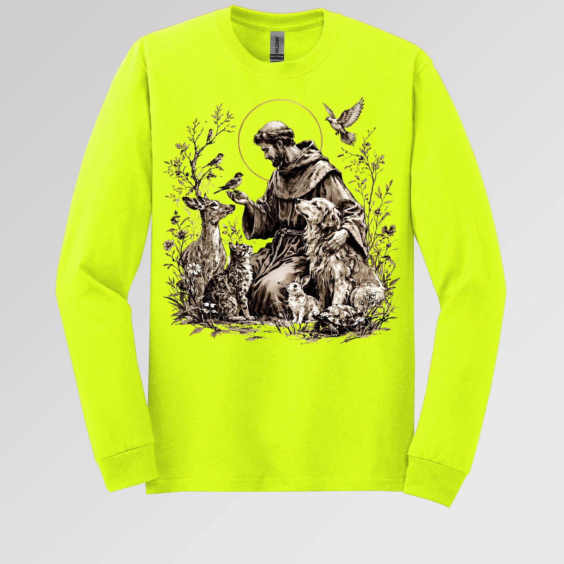 St Francis Of Assisi Patron Saint of Animals