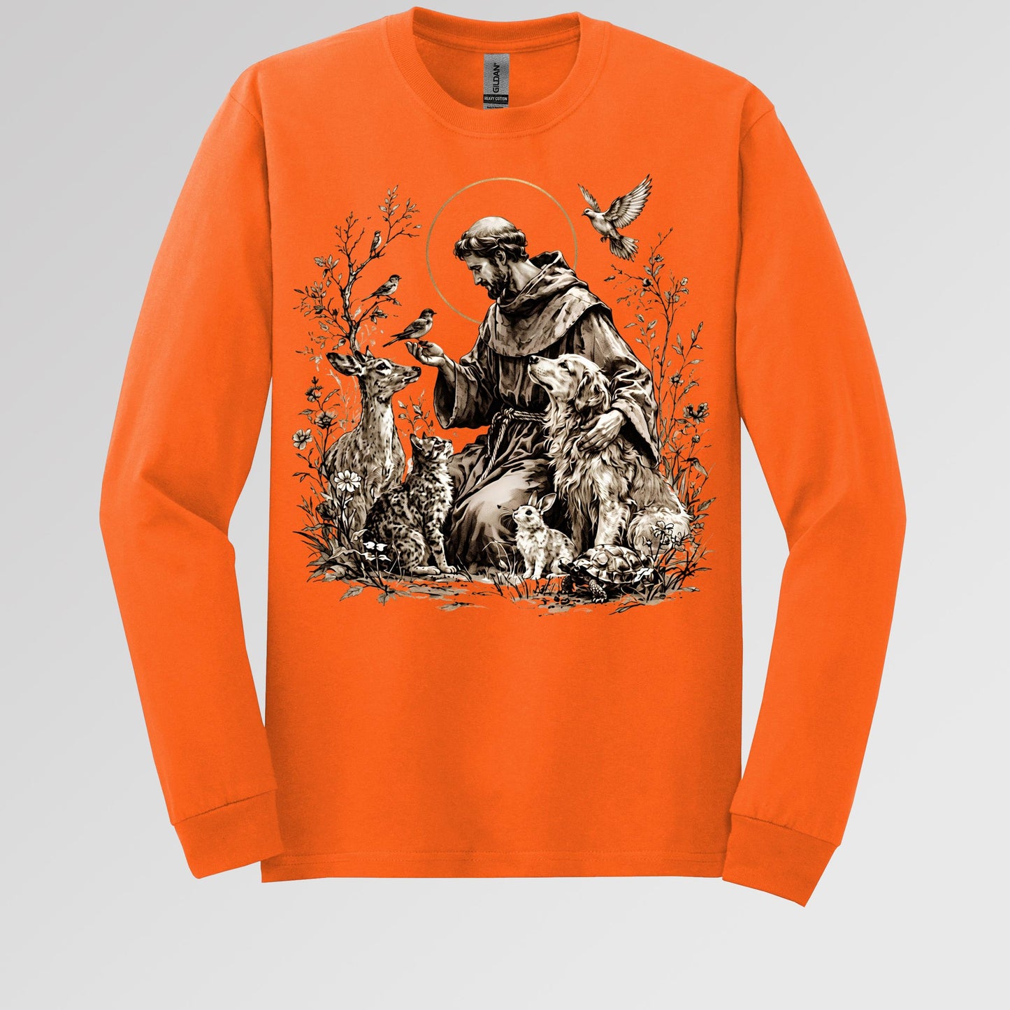 St Francis Of Assisi Patron Saint of Animals