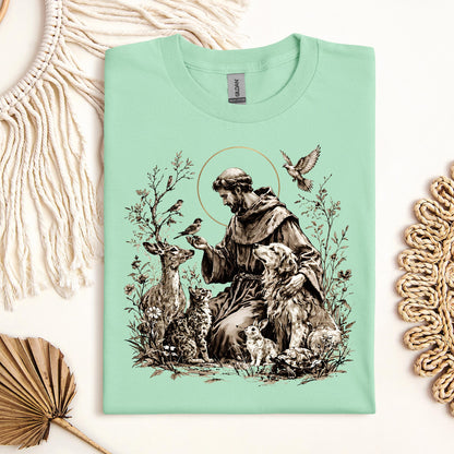 St Francis Of Assisi Patron Saint of Animals