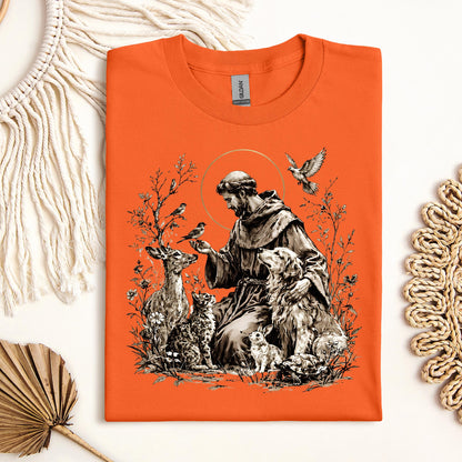 St Francis Of Assisi Patron Saint of Animals