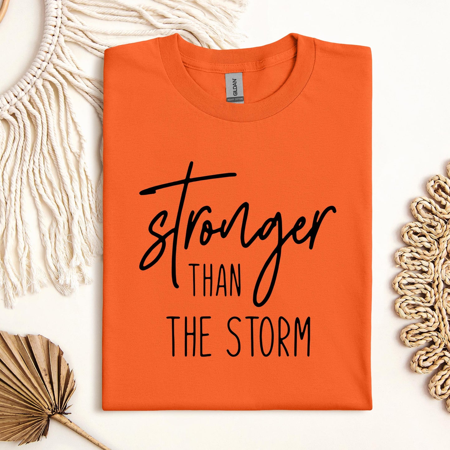 Stronger Than The Storm 03