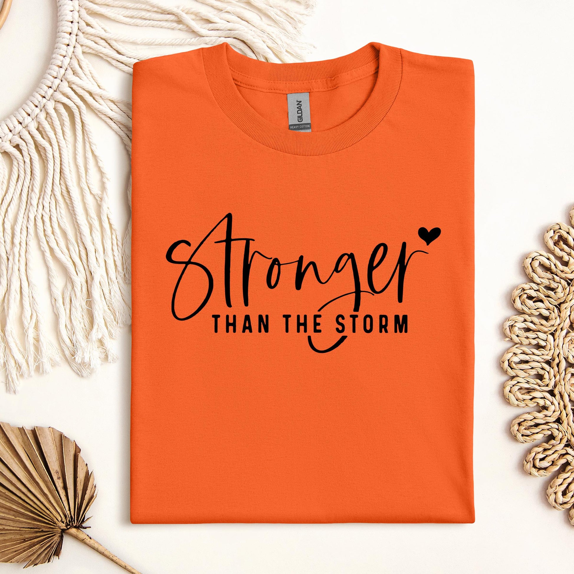 Stronger Than The Storm 04