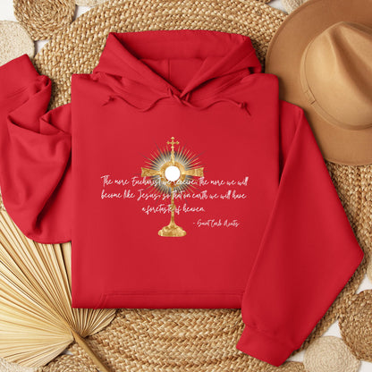 The More Eucharist We Receive The More We Will Become Like Jesus So That On Earth We Will Have A Foretaste Of Heaven