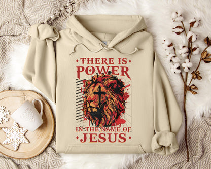There Is Power In The Name Of Jesus Lion 3