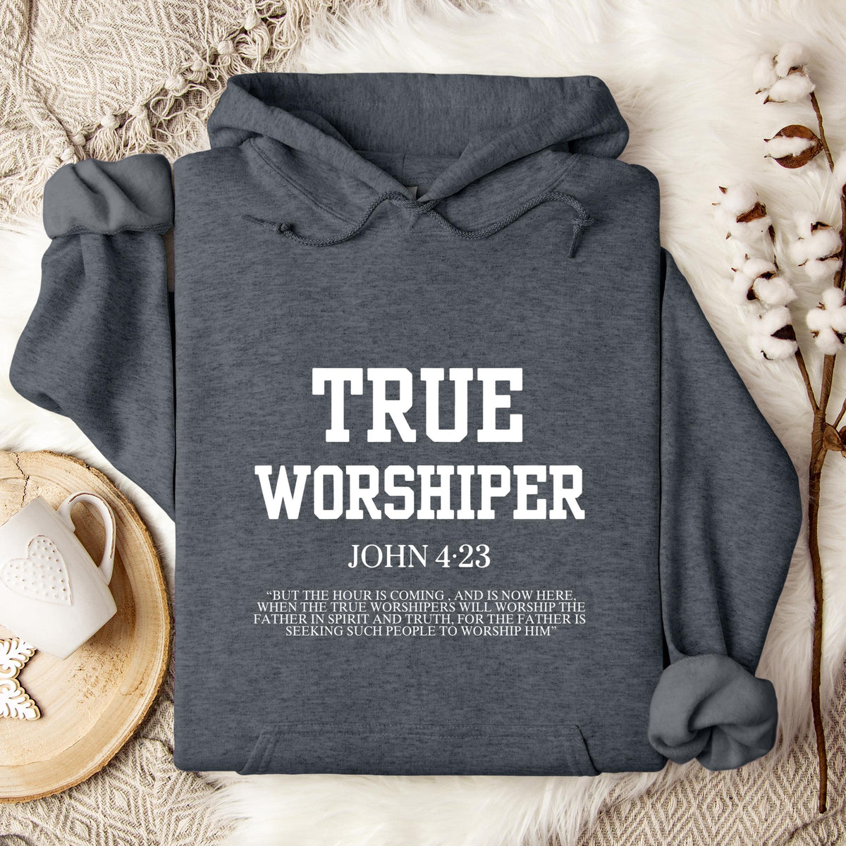 True Worshiper John 4.23 Hoodie