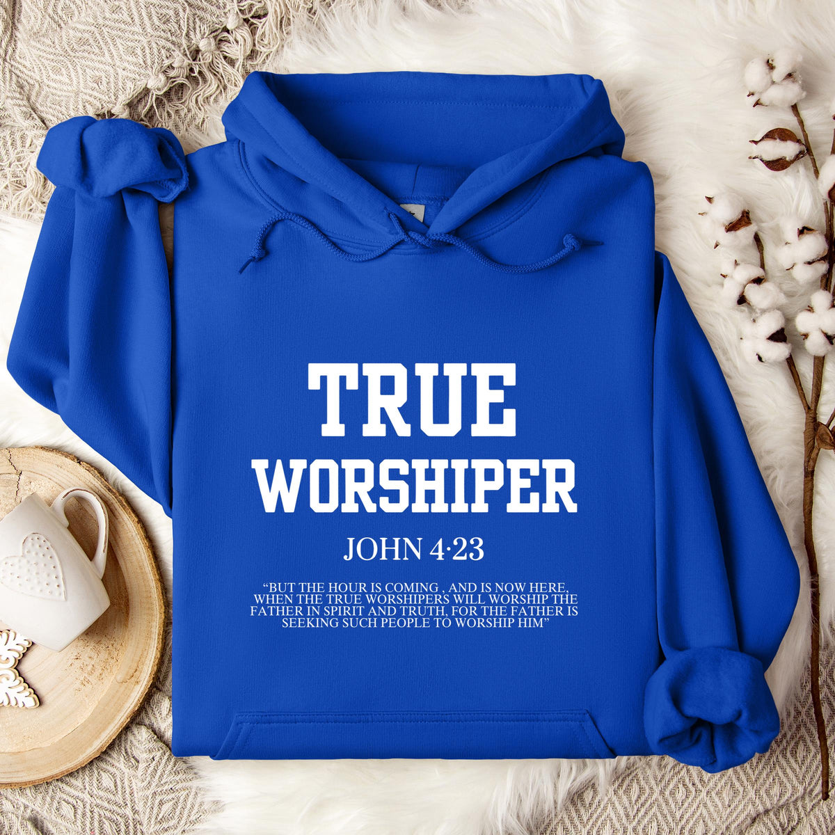 True Worshiper John 4.23 Hoodie