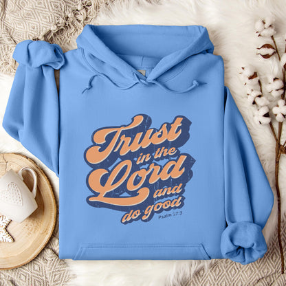 Trust In The Lord And Do Good Psalm 37.3 Hoodie