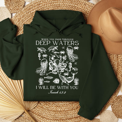 When You Pass Through Deep Waters I Will Be With You Isaiah 43.2 04