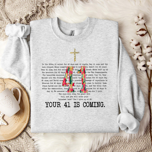 Your 41 Is Coming 10 Sweatshirt